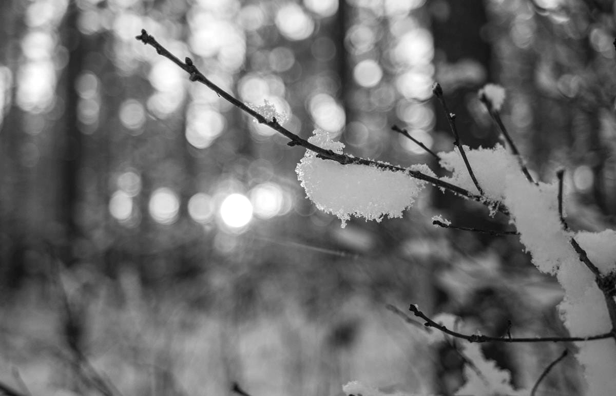 A letter for the end of the year